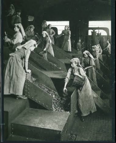 Vieille photo de laveuses qui nettoient le minerai.